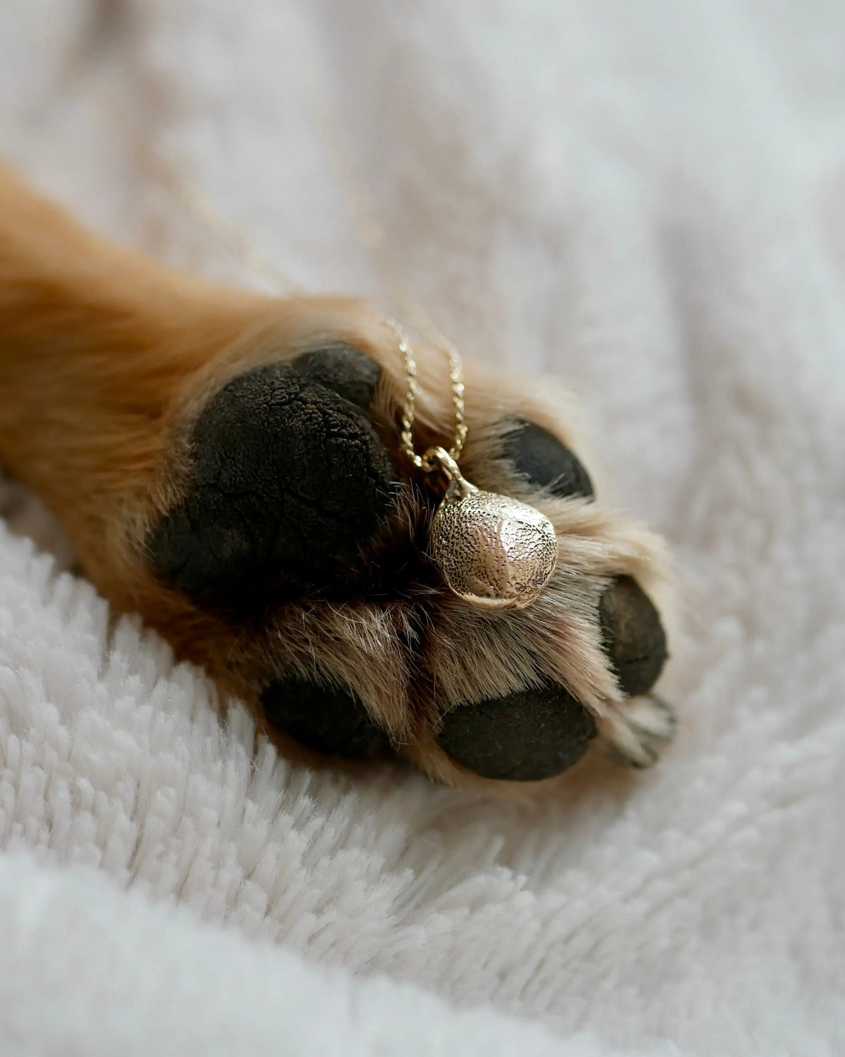 Custom Print Jewelry – Fingerprint & Paw Print Memory Kit